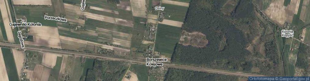 Zdjęcie satelitarne Borszewice Kolejowe ul.